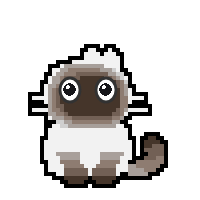 Siamese cat